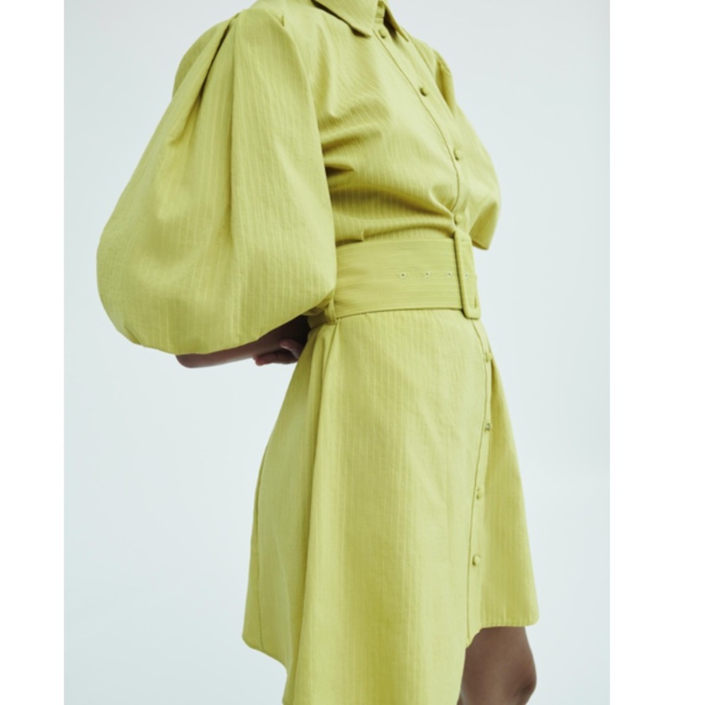 Zara Green Voluminous Sleeve Dress - Picture 5 of 6